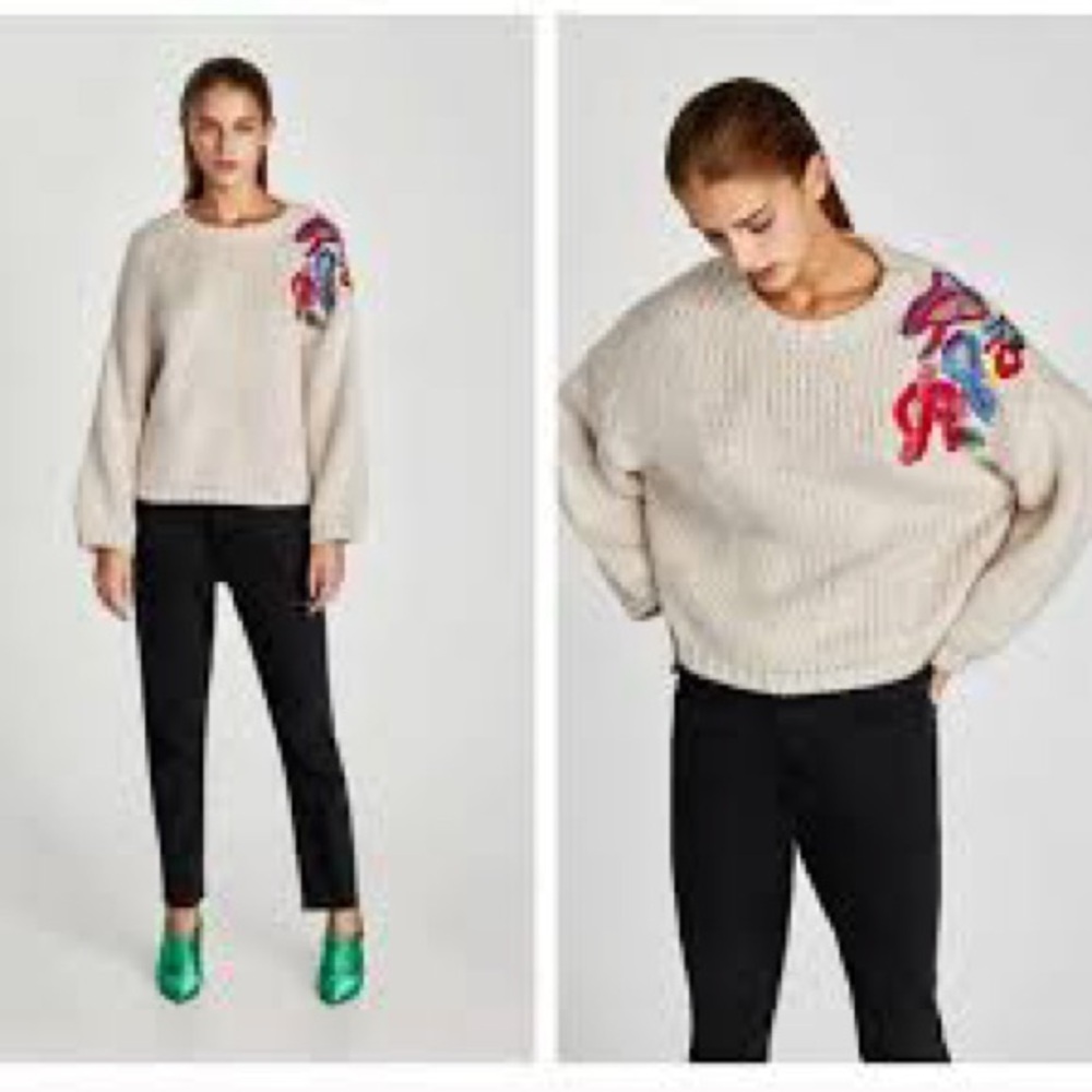 Zara Beige Sweater with Multicolor Embroidery Sz L